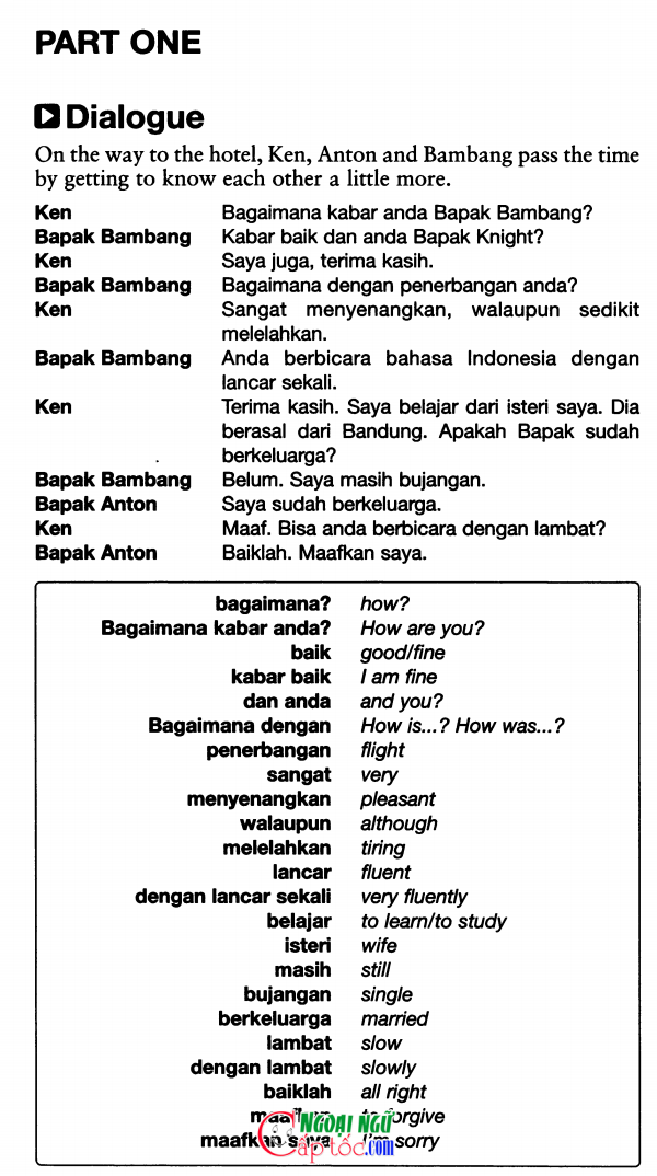 indo 31