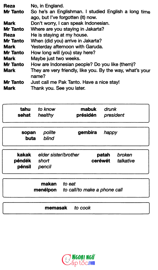 indo 36