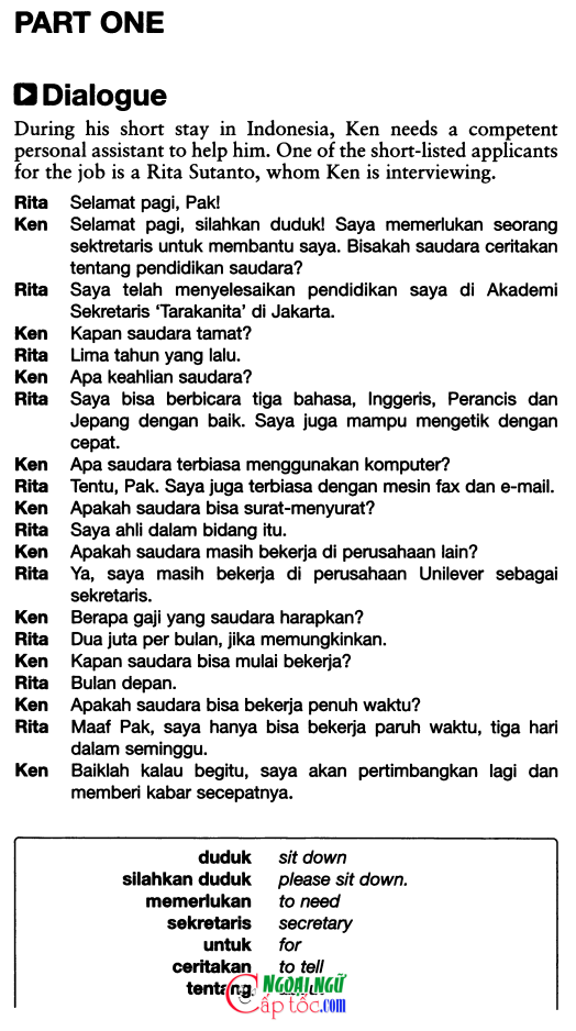 indo 41