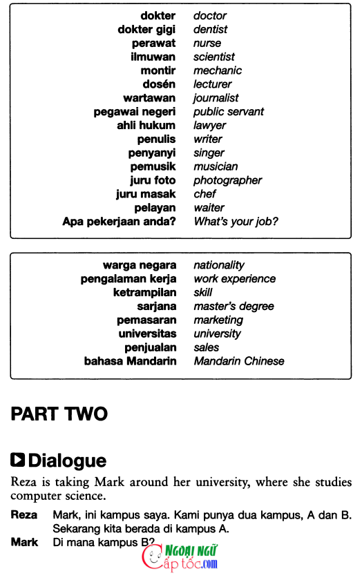 indo 44